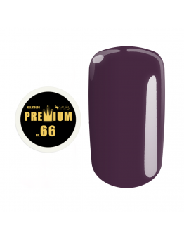 Gel color Premium - nr. 66, 5 ml